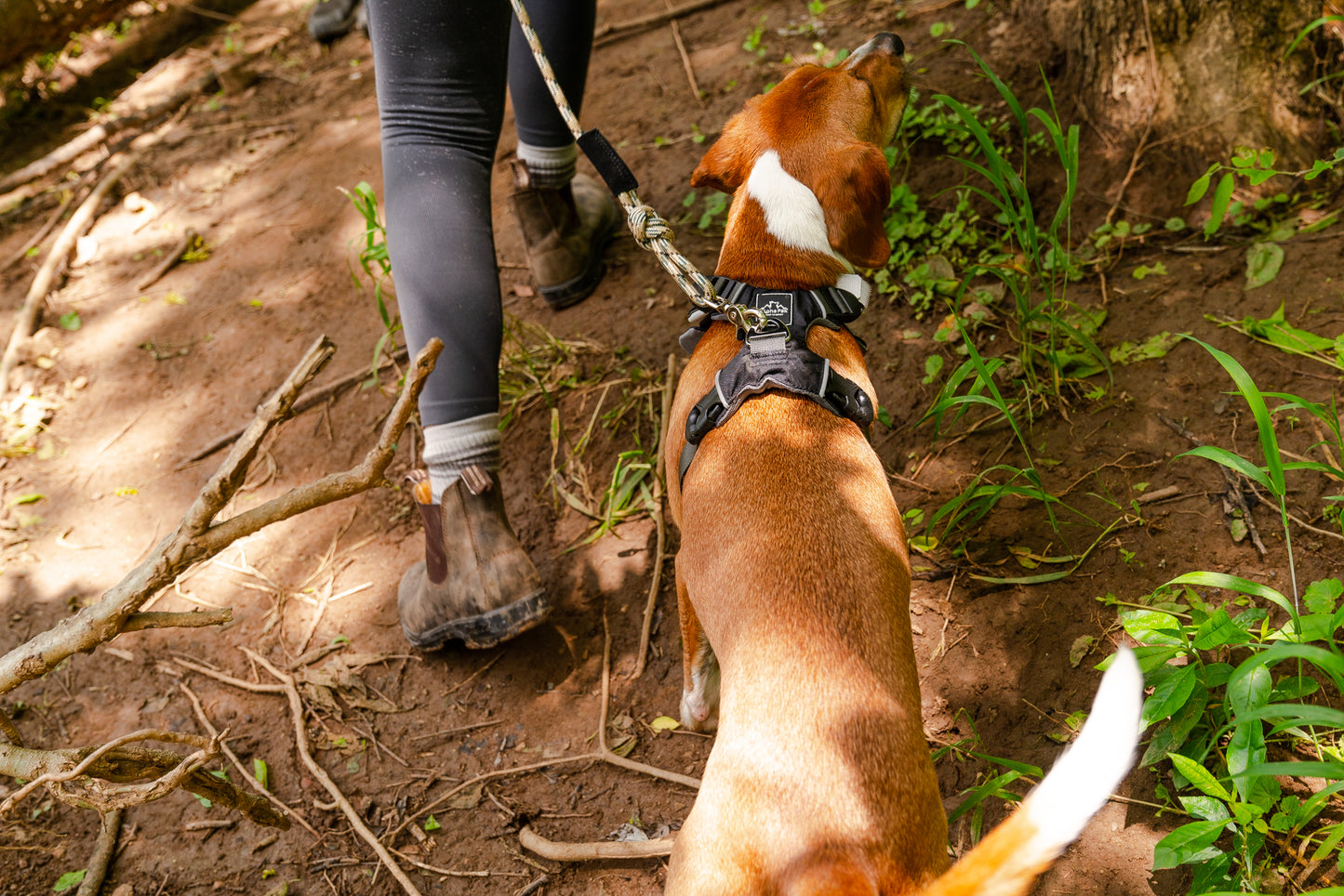 Destination 7MM Kernmantle Rope Leash