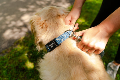 Tidal Pattern Dog Collar - Wholesale