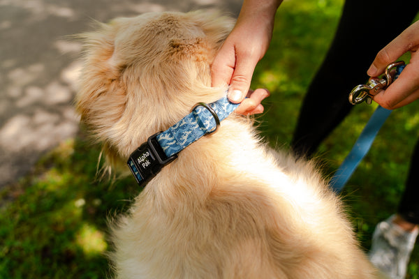 Tidal Pattern Dog Collar