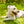 Appalachian Kiwi Green Flat Dog Leash