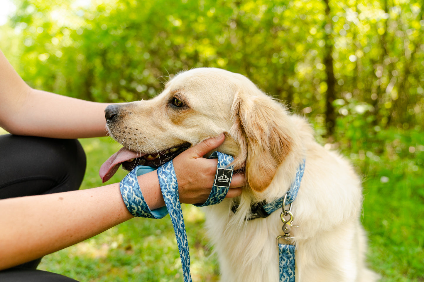 Tidal Pattern Dog Collar - Wholesale