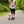 Cascades Graphite Stretchable Runner Dog Leash