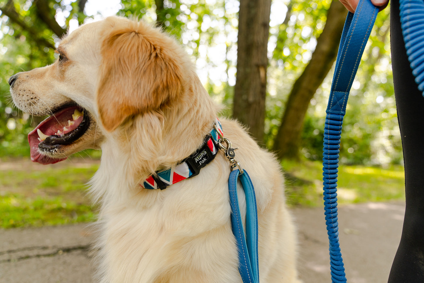 Shenandoah Pattern Dog Collar - Wholesale