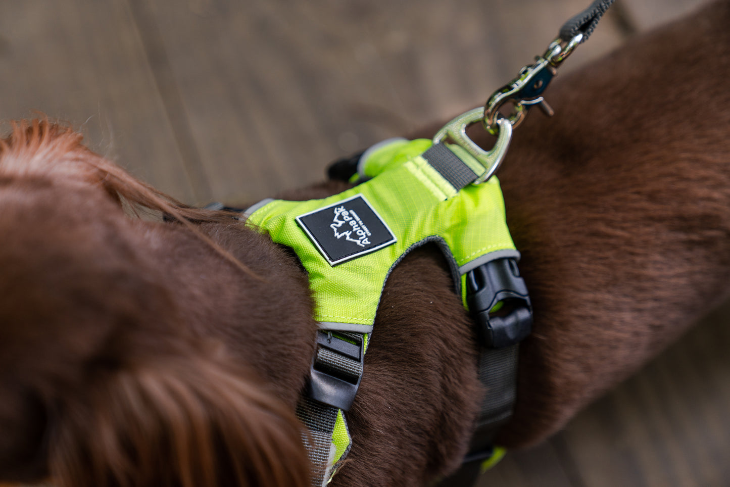 Millvue Kiwi Green EZ Fit™ Dog Harness