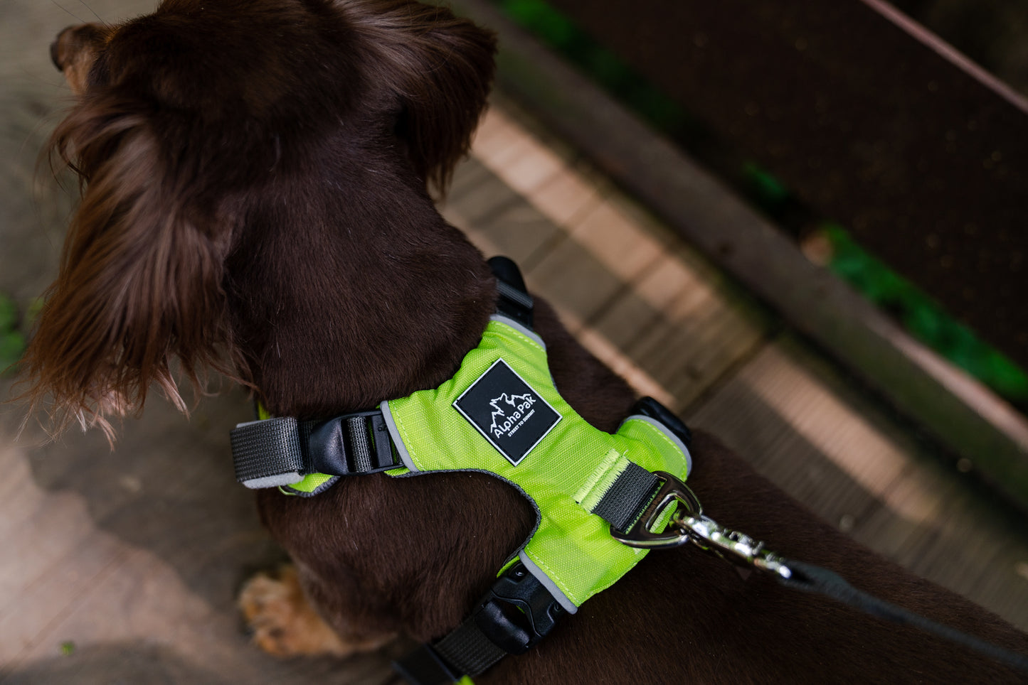 Millvue Kiwi Green EZ Fit™ 犬用ハーネス - 卸売