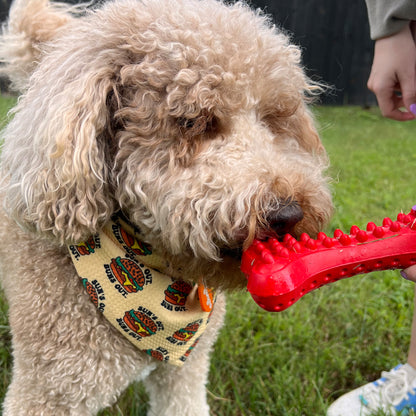 Arlo's Favorite Rubber Bone