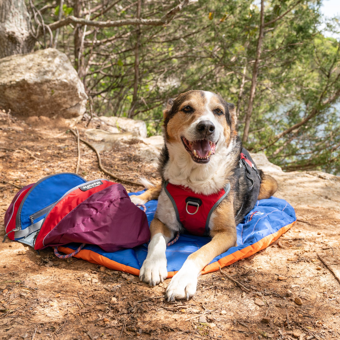 Eclipse Blue Compressible Waterproof Dog Sleeping Mat