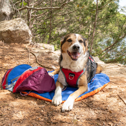 Eclipse Blue Compressible Waterproof Dog Sleeping Mat