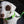 alphapak campingwithdogs reflective light green green collar dog collars