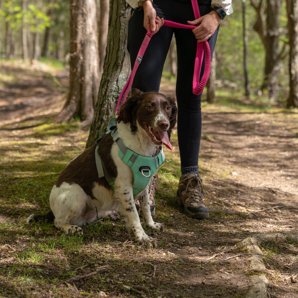 Cascades Plum Boysenberry Stretchable Runner Dog Leash