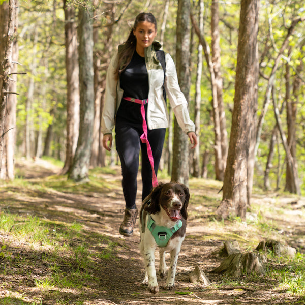 Cascades Plum Boysenberry Stretchable Runner Dog Leash Woman and Dog