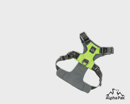 Millvue Kiwi Green EZ Fit Dog Harness